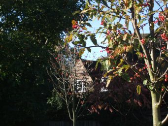 Latest News from 21st October 2021